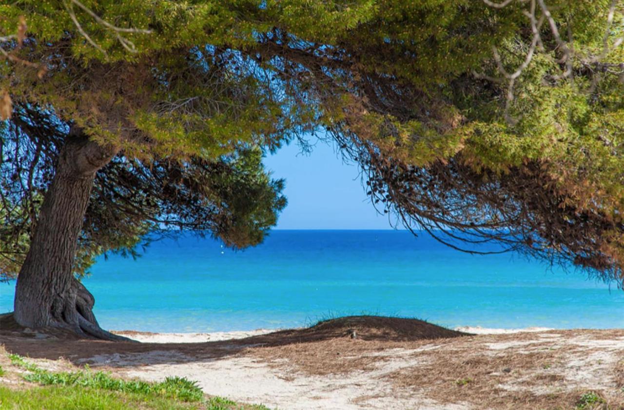 Apartment Countess Garden 2-1, Sun Of The Bay Vidalba 1, At Alcudia Beach Port de Alcudia  Екстер'єр фото